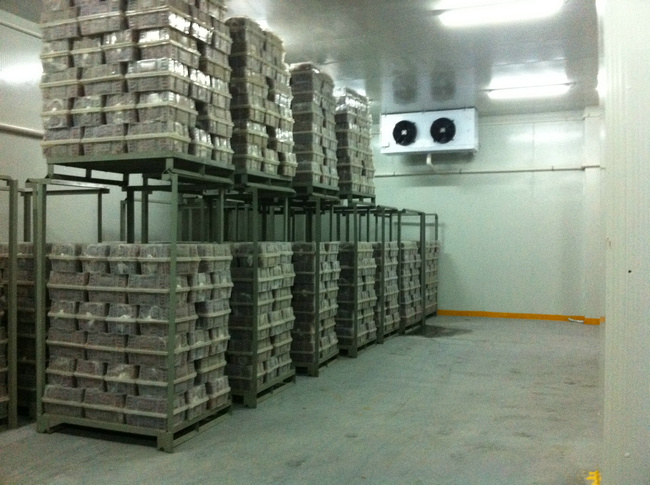 冷庫裝什么燈合適？冷庫燈和普通燈有有什么區別