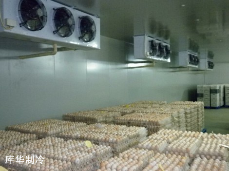 雞蛋冷庫 雞蛋冷庫